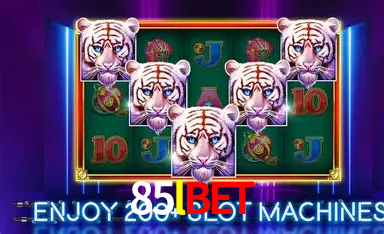 85lbet,85lbet.com