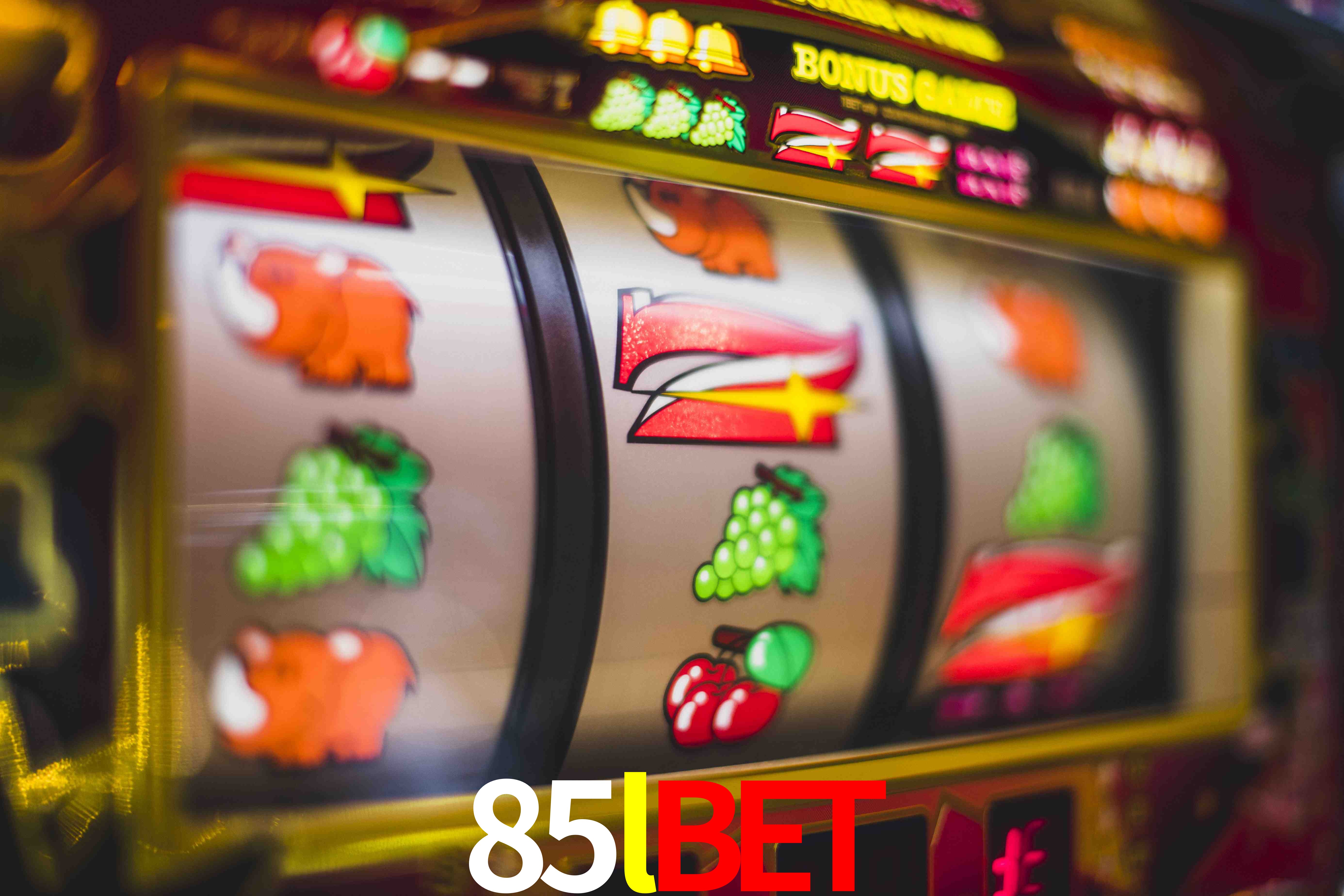 Account Benefits 85lbet